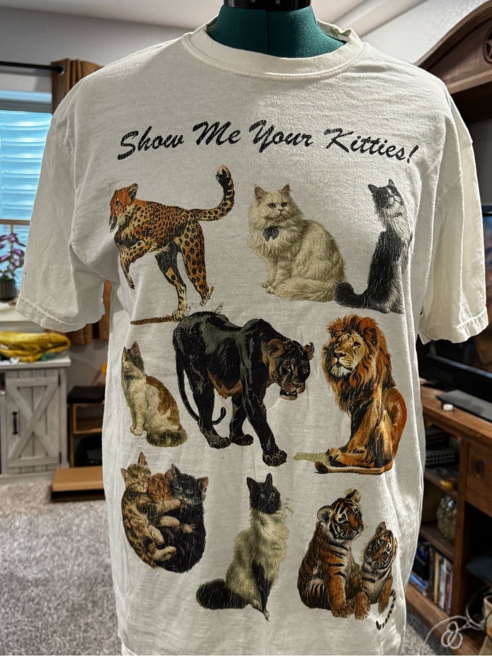 Cream 'Show Me Your Kitties!' Graphic Cat Tee